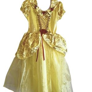 It's a Princess Belle costume from the movie beauty and the beast